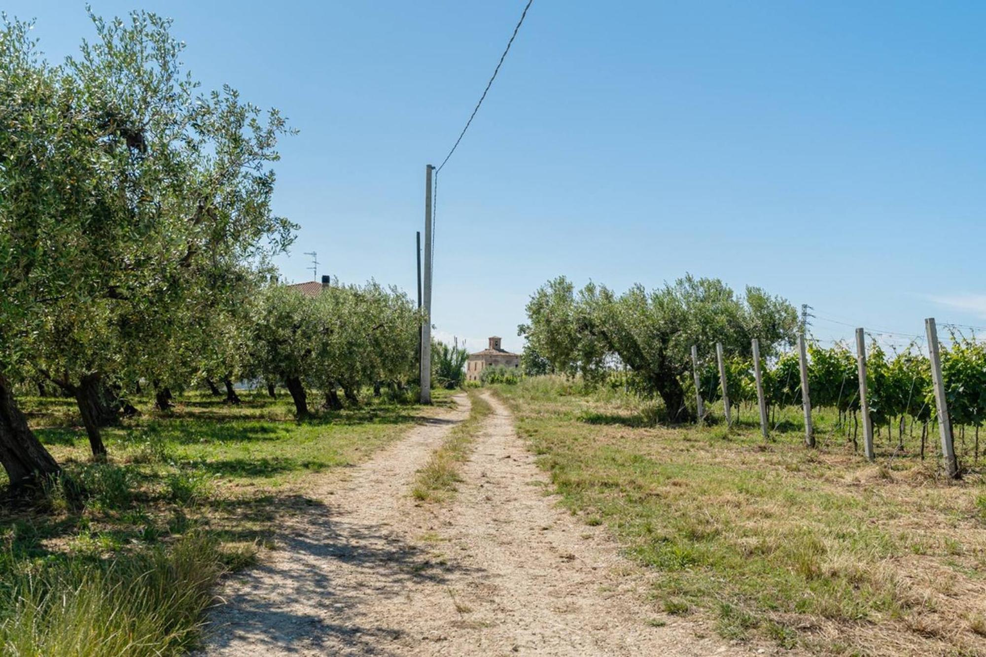 Villa Turin - Yourplace Abruzzo Torino di Sangro Ngoại thất bức ảnh